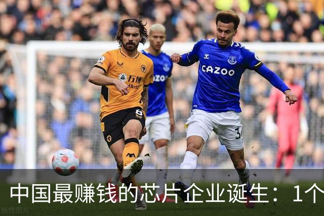 中国最赚钱的芯片企业诞生：1个月利润，是中芯国际3年的利润