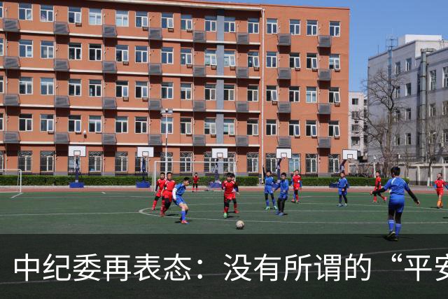 中纪委再表态：没有所谓的“平安着陆”