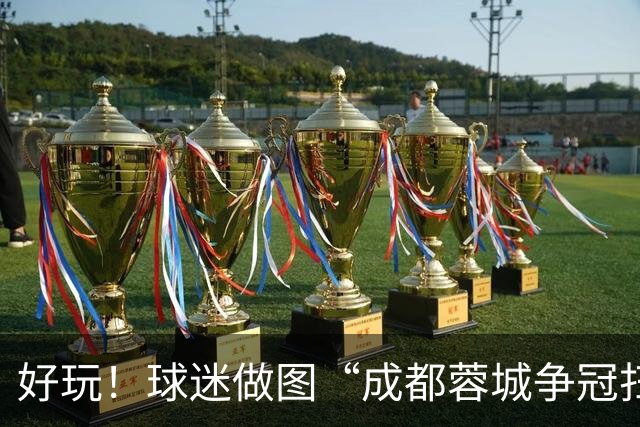 好玩！球迷做图“成都蓉城争冠扫雷记”：已5次踩雷，仅剩2次机会