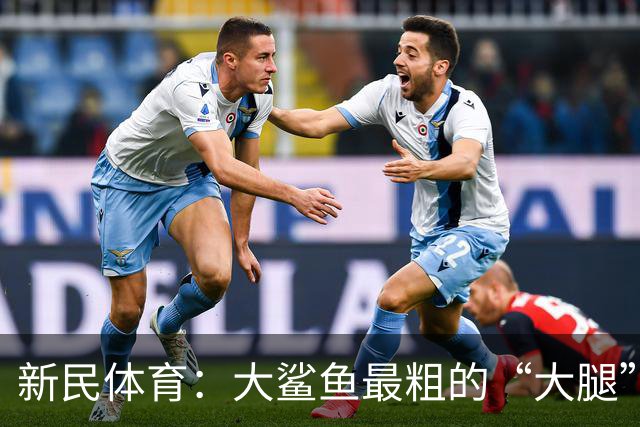 新民体育：大鲨鱼最粗的“大腿”是他？