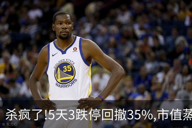 杀疯了!5天3跌停回撤35%,市值蒸发超43亿，8.6万股民全套！
