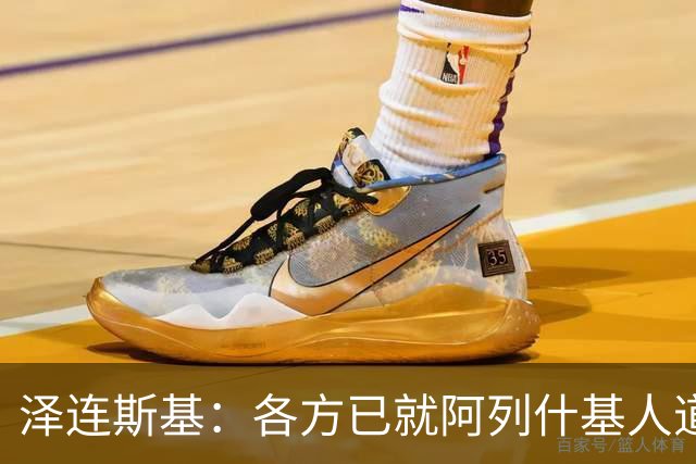 泽连斯基：各方已就阿列什基人道主义行动达成协议