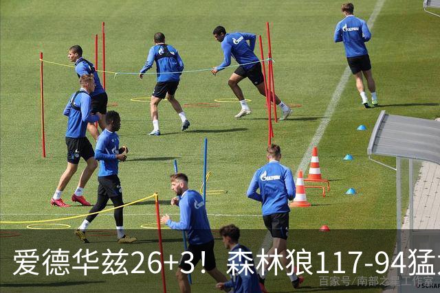 爱德华兹26+3！森林狼117-94猛龙，看数据：他是头号功臣！