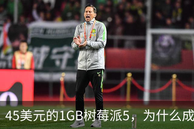 45美元的1GB树莓派5，为什么成了新手唯一该买的板子